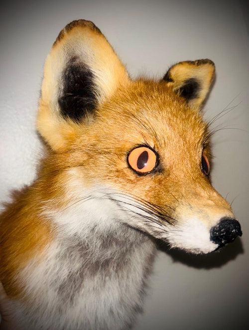 Haunted Items | Ancient Nine Tailed Kitsune | Dark Fox Spirit | Shapeshifting, Protection, Manifestation & Revenge
